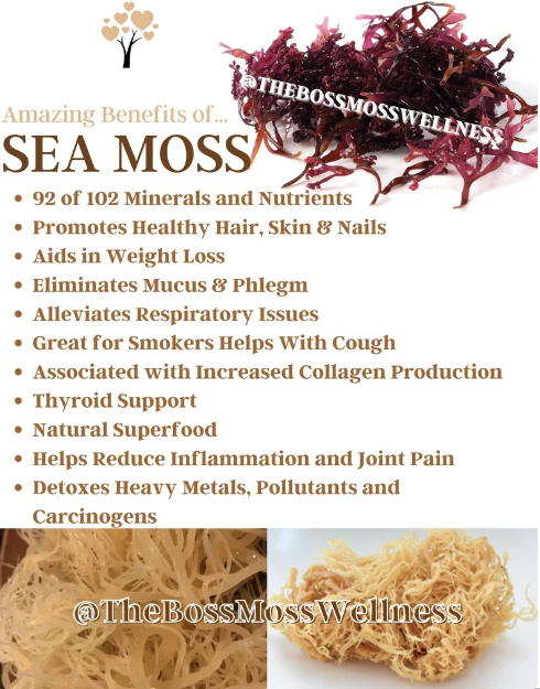 Cinnamon Apple Pie Sea Moss Gel