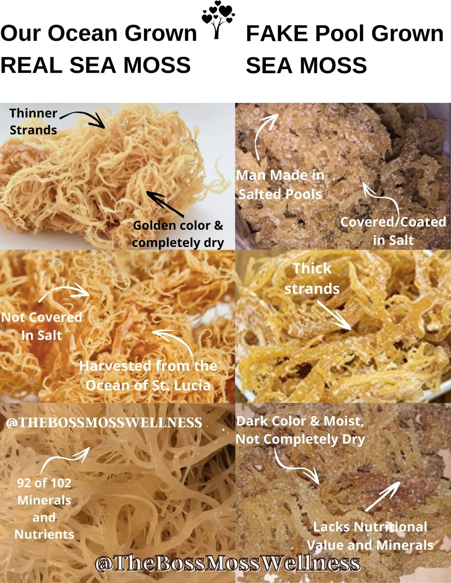 Classic Gold Sea Moss Gel