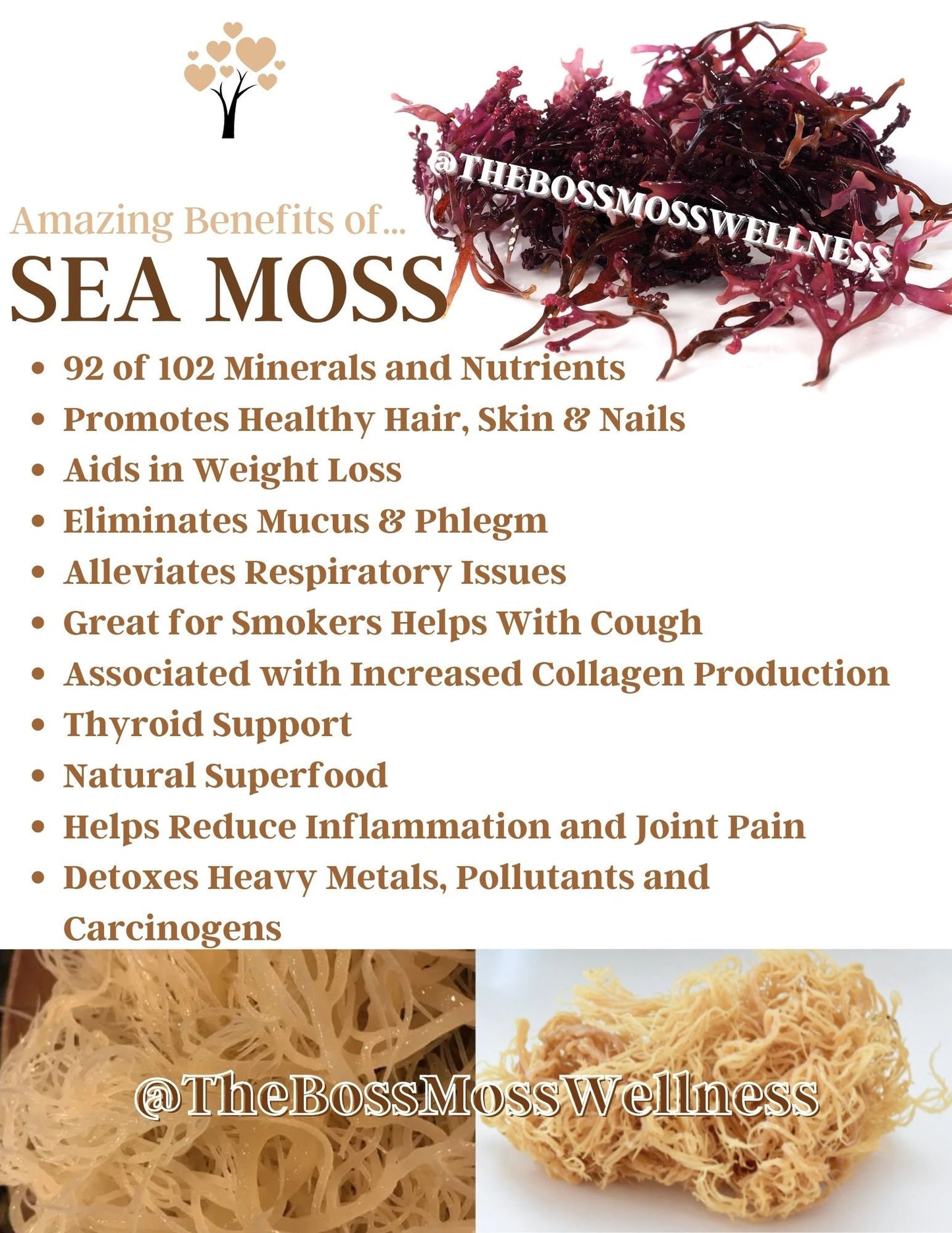 Blue Magic Sea Moss